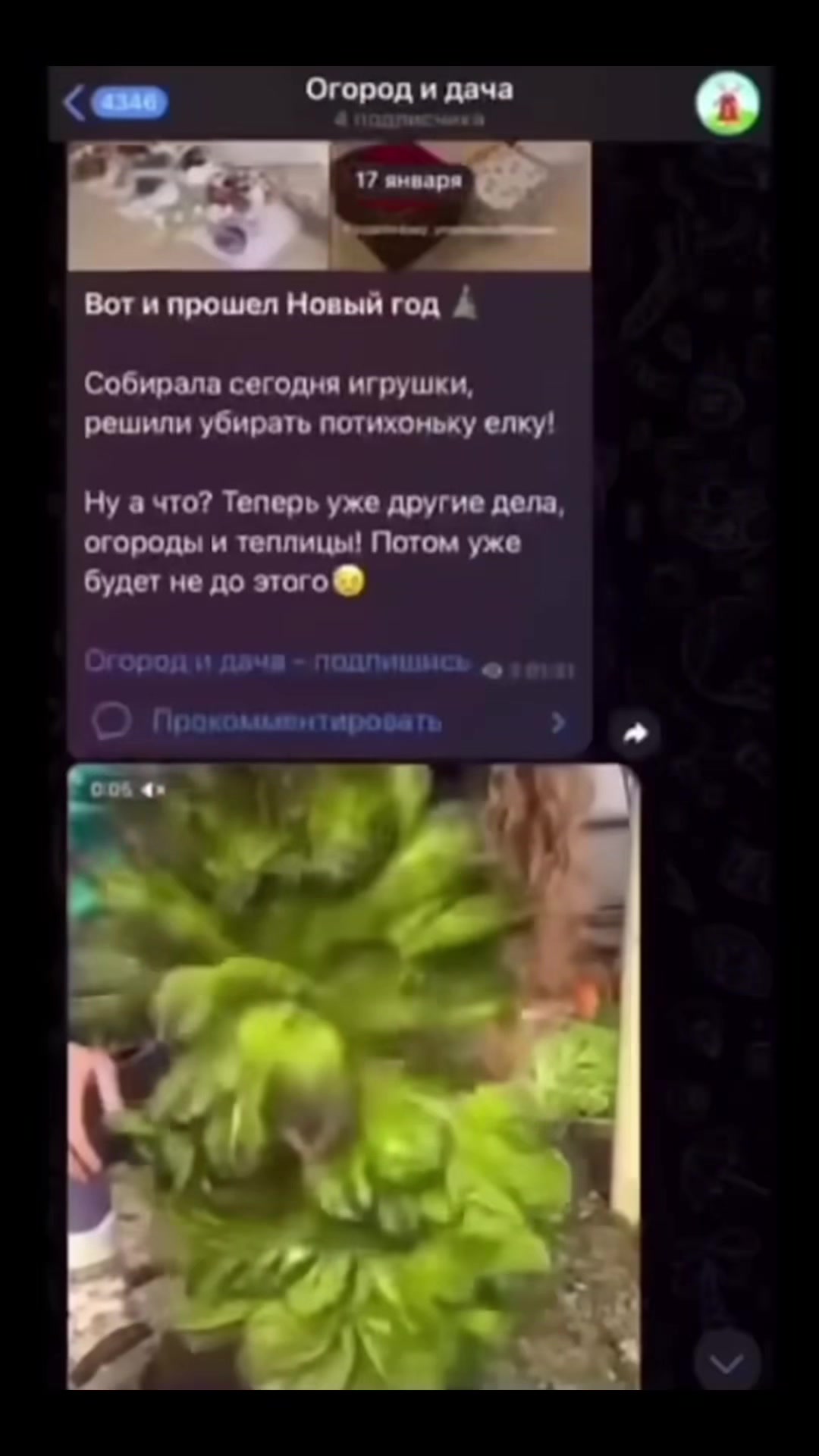 @petrovchankalerka