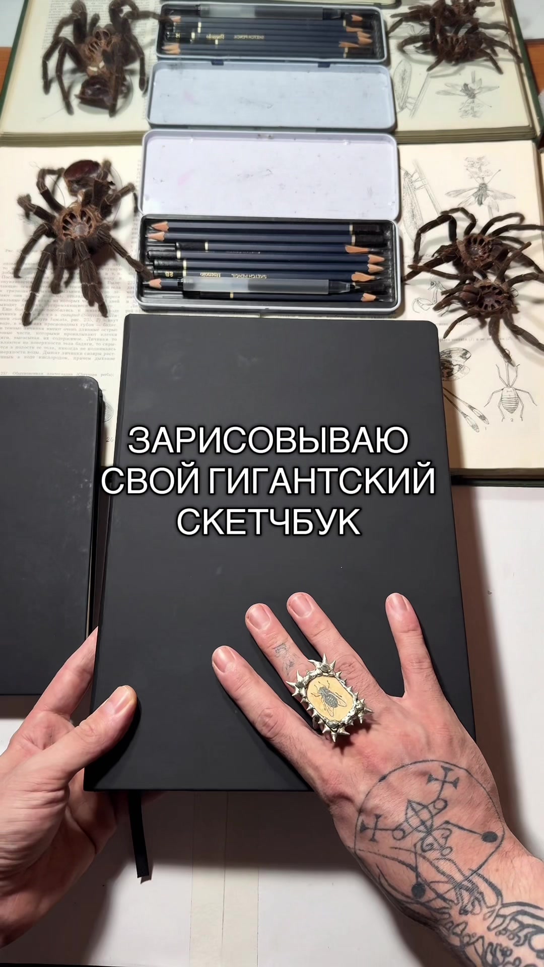 @Тима Унгольд
