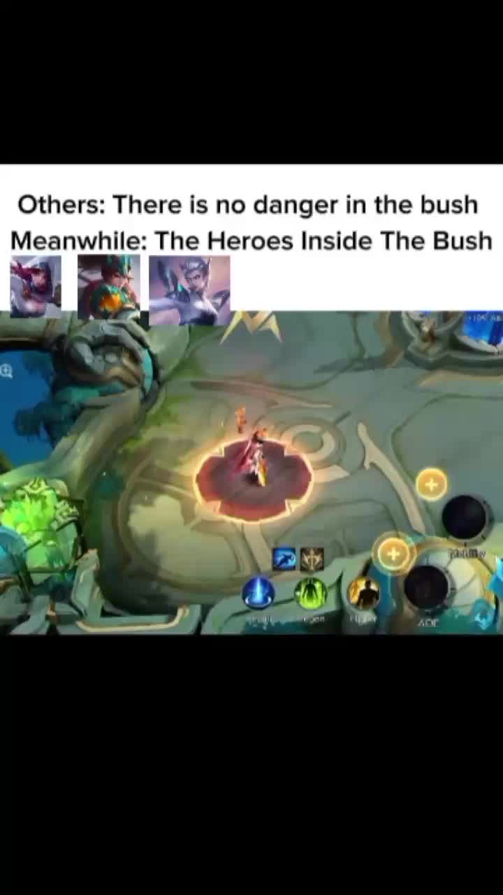 @TCC • Shitsuk