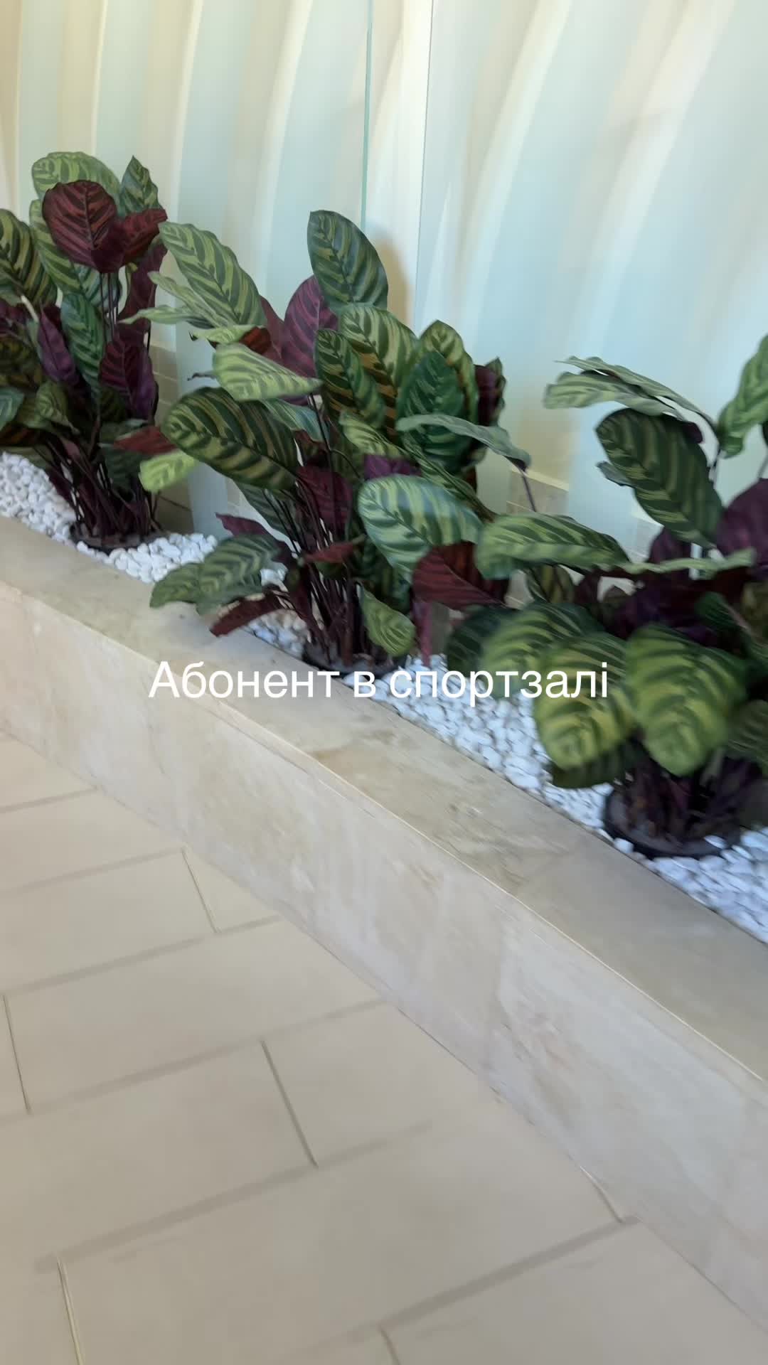 @kuruleva_ta_roduna