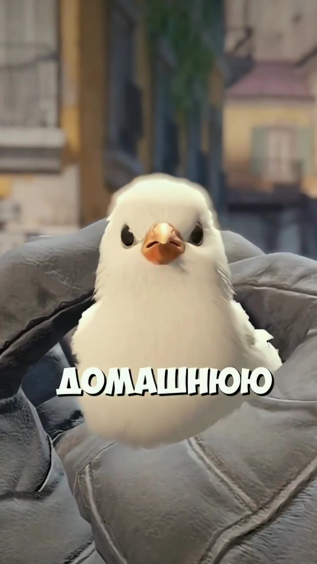 @максимстандоффпро
