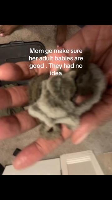 @Kenyetta