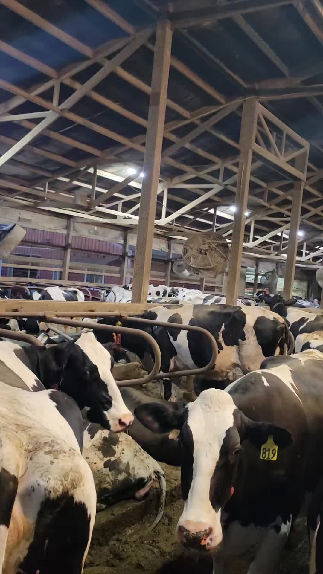 @Just Another FarmFluencer