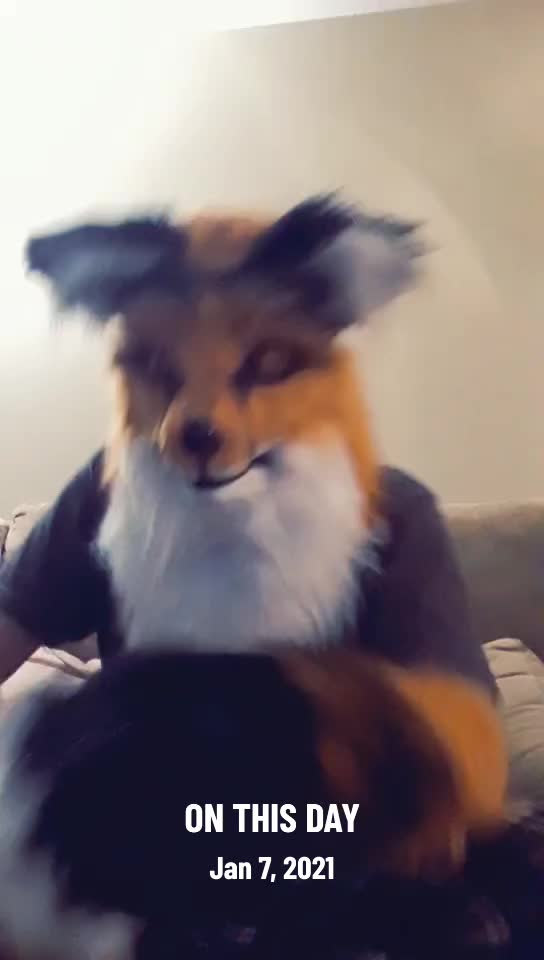 @SaltyFox