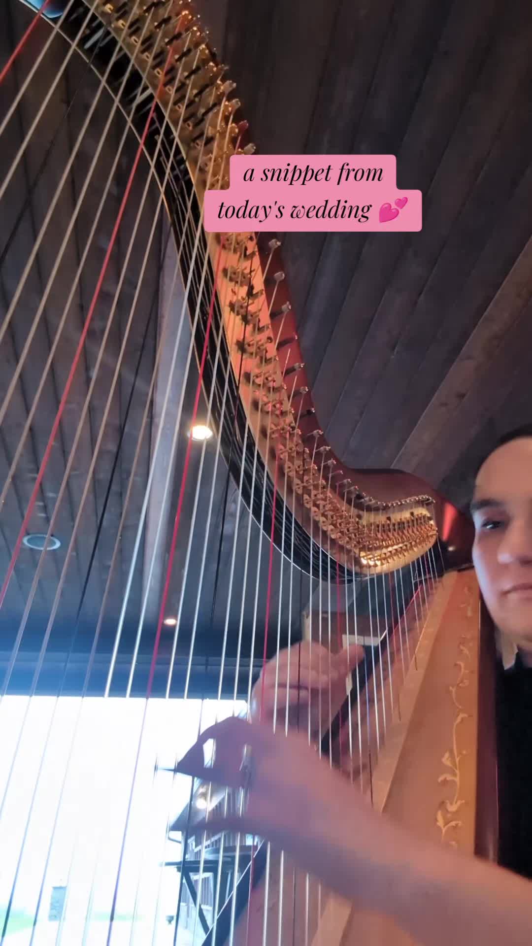 @Harpist Vanessa