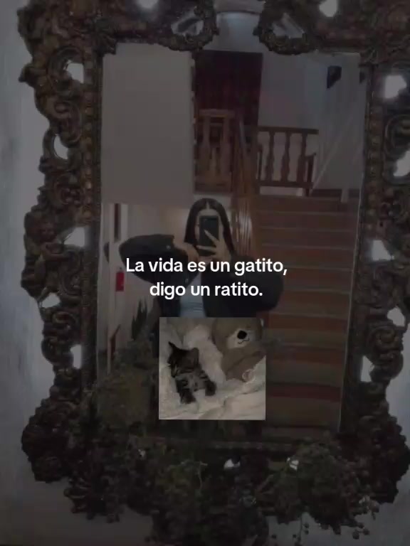 @🧸ᩚALI