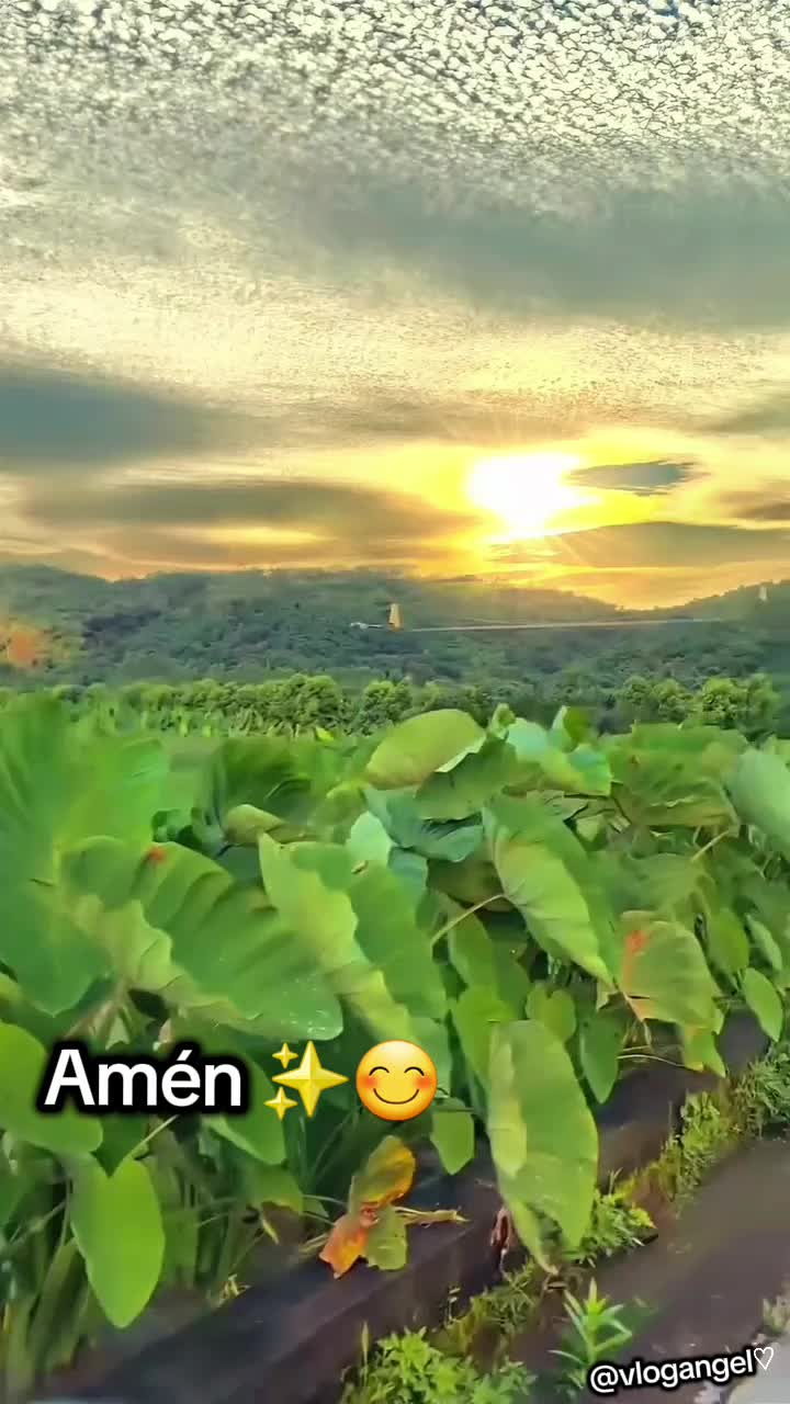 @Vlog Angel
