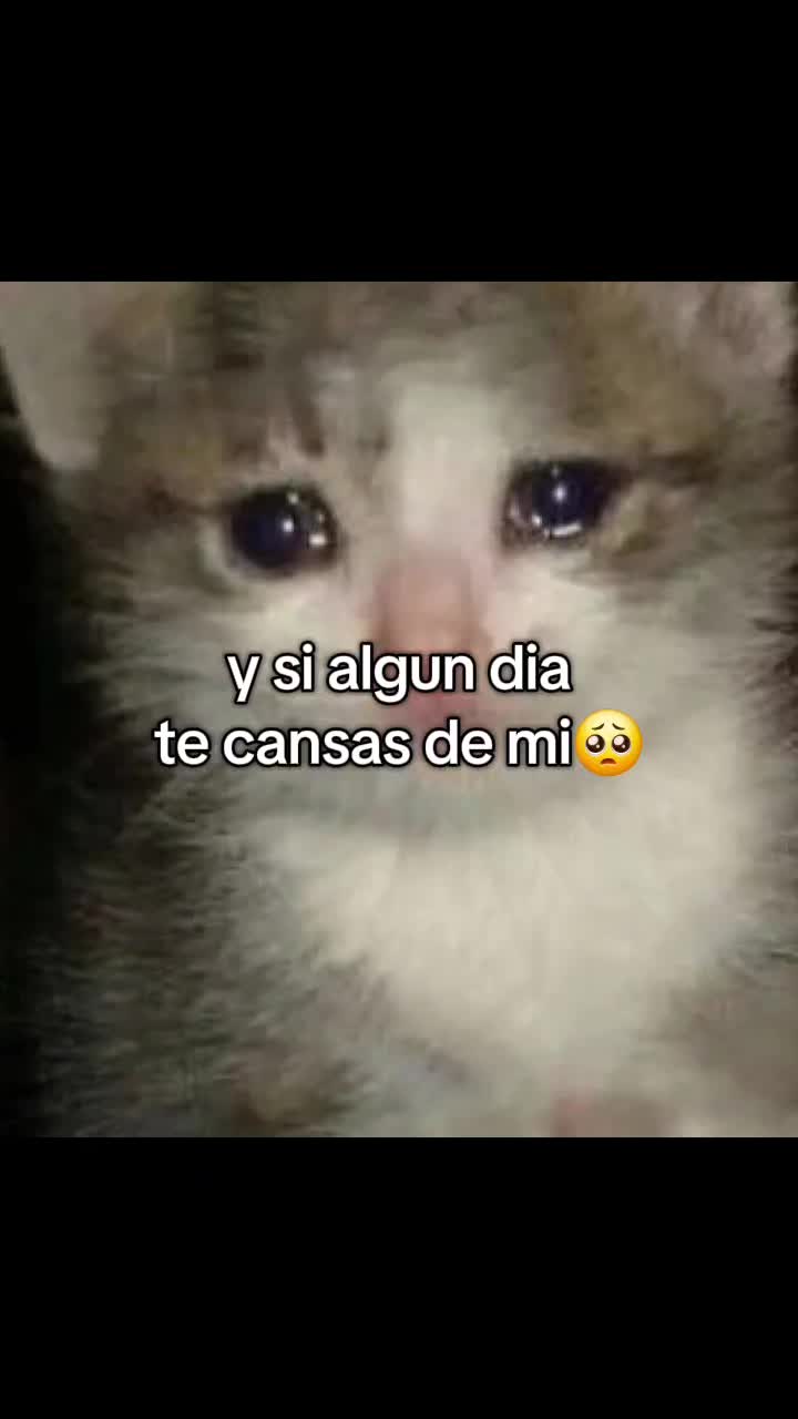 @Sindy123!