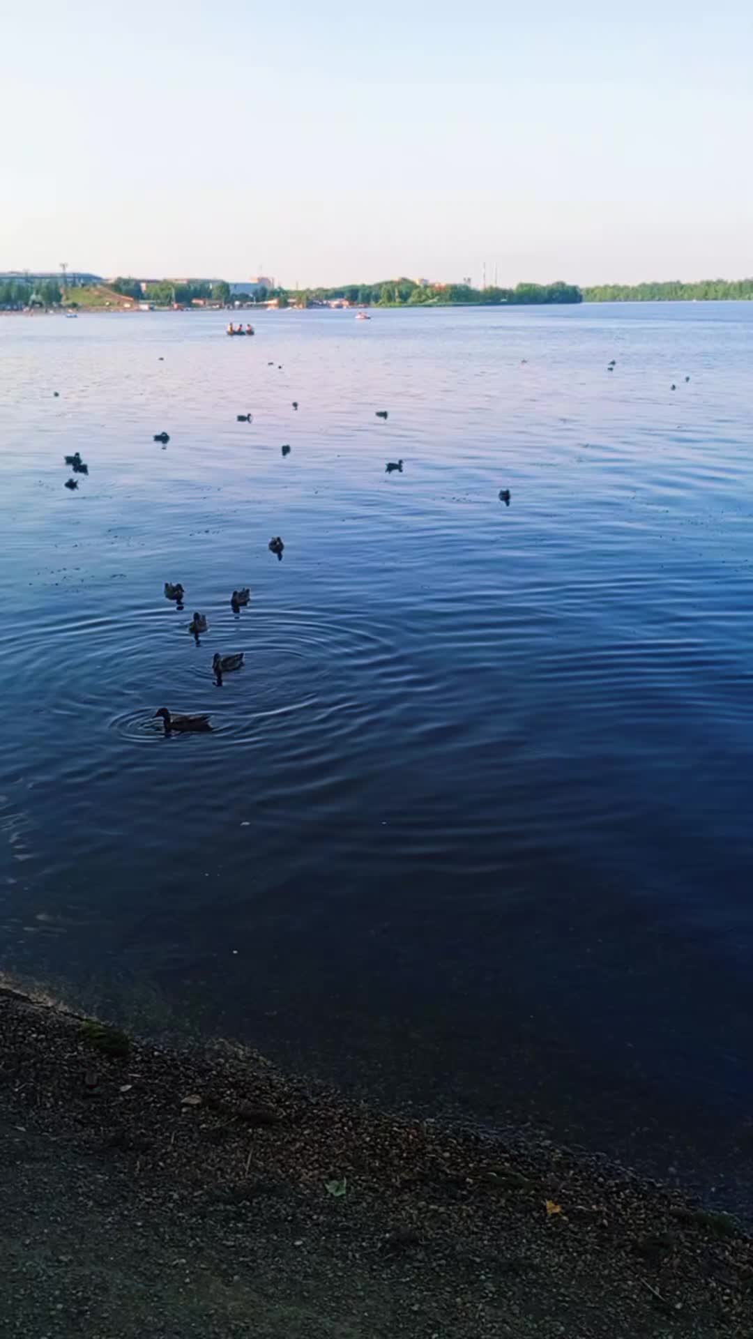 @user278533368490камета