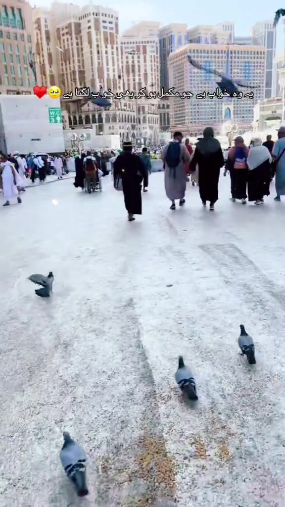 @حاجی عرفان صاحب