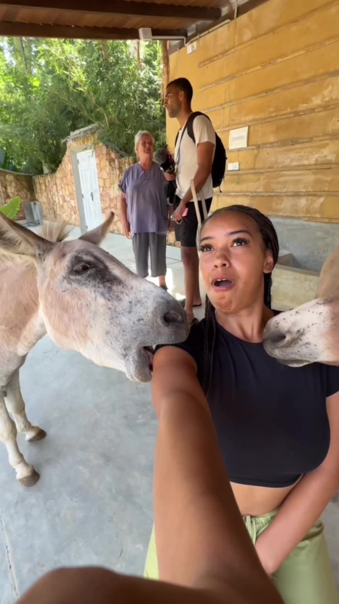 @alejandrohager7