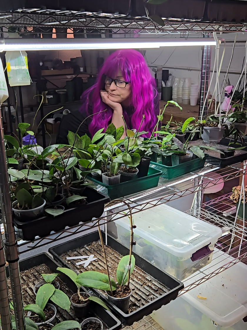 @Yaya’s Plant Shop