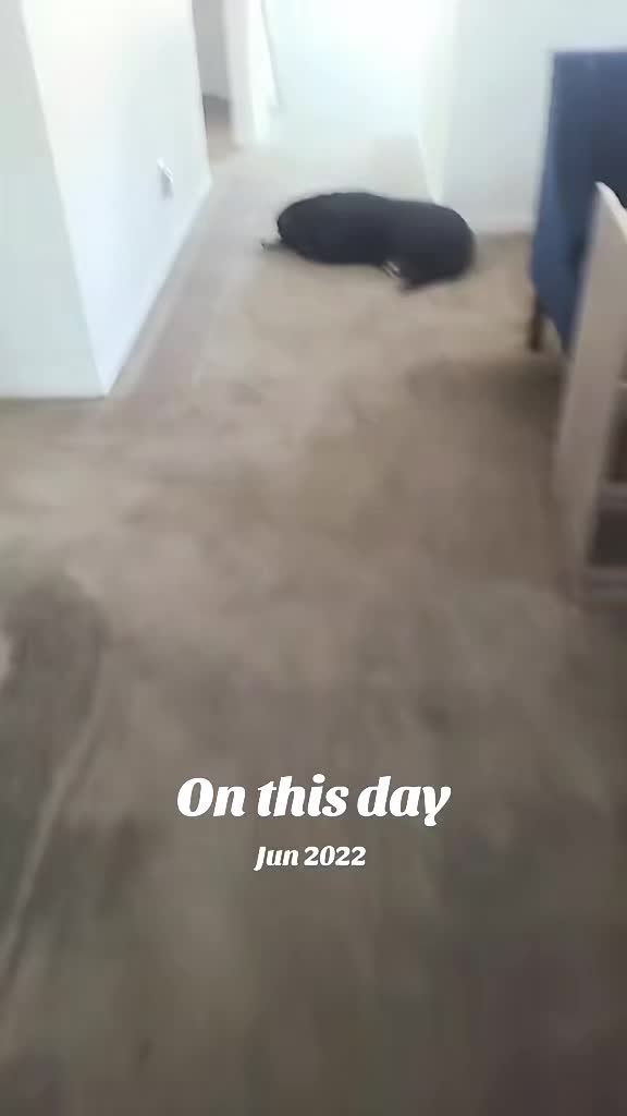 @Chunkyandflaca