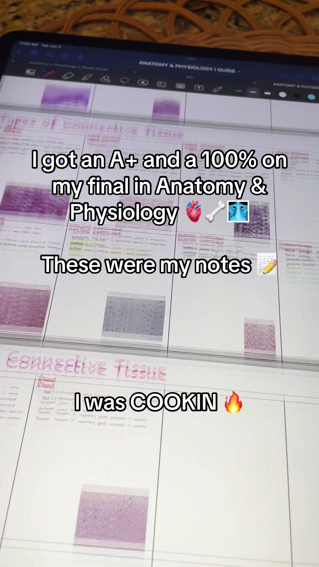 @Ollie | Anatomy & Physiology