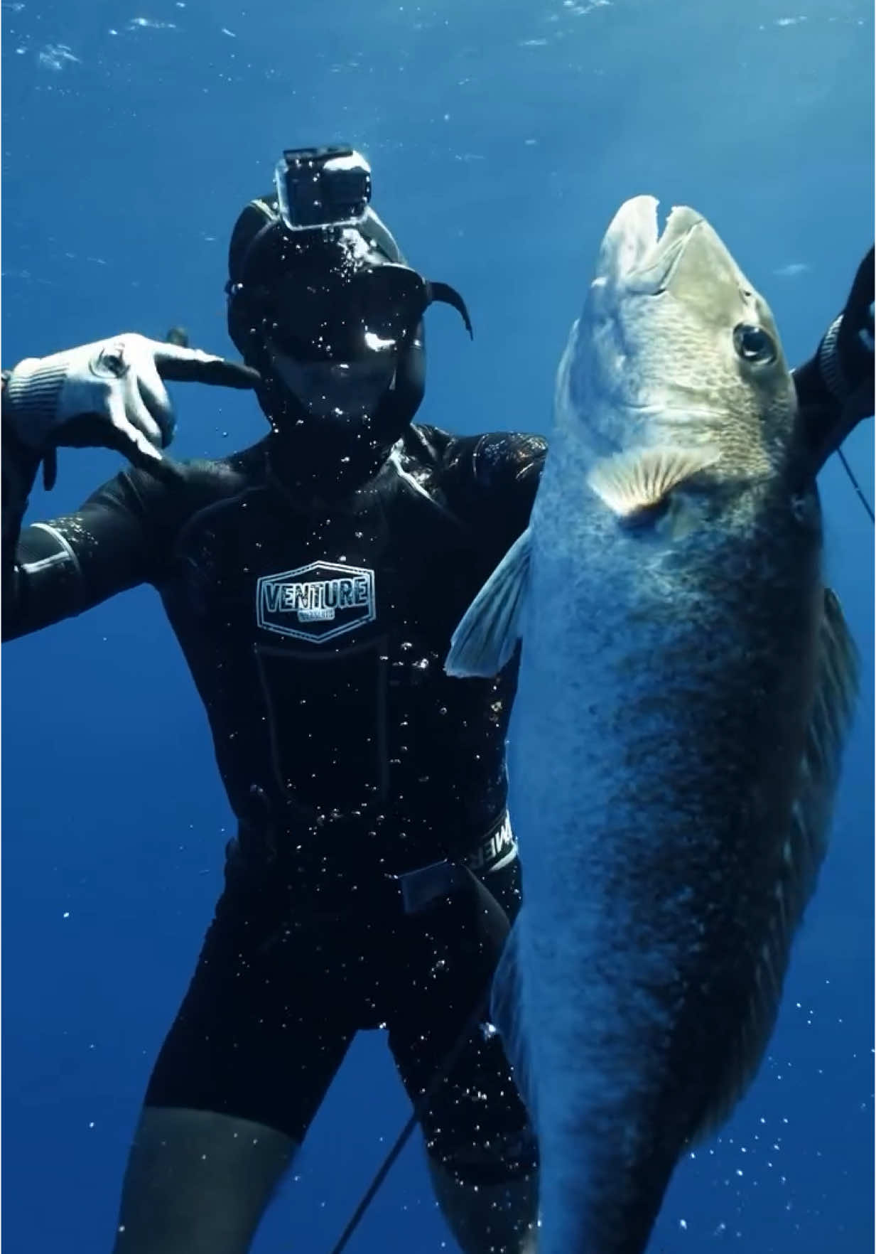 @Venture Wetsuits
