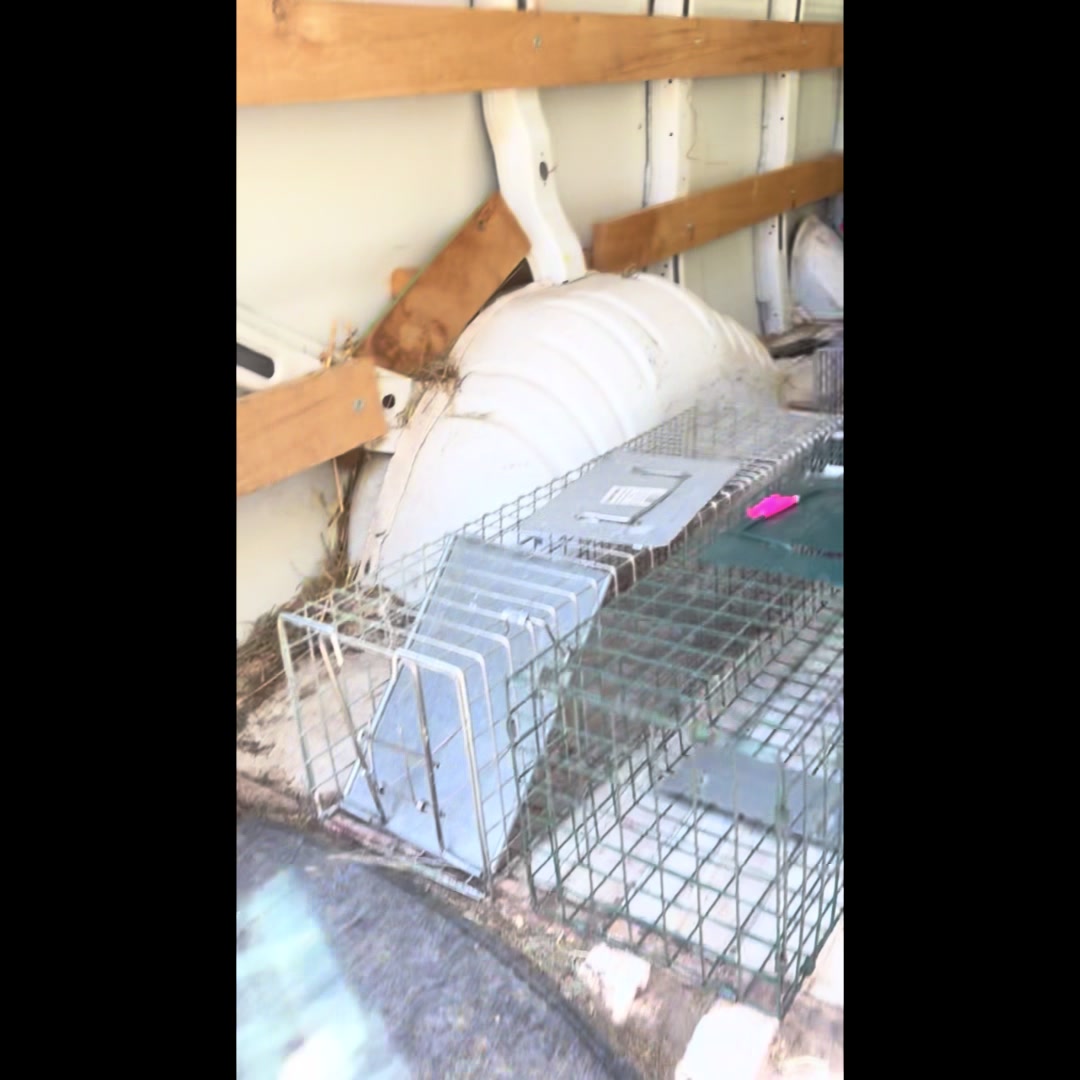 @Friends Forever Animal Rescue