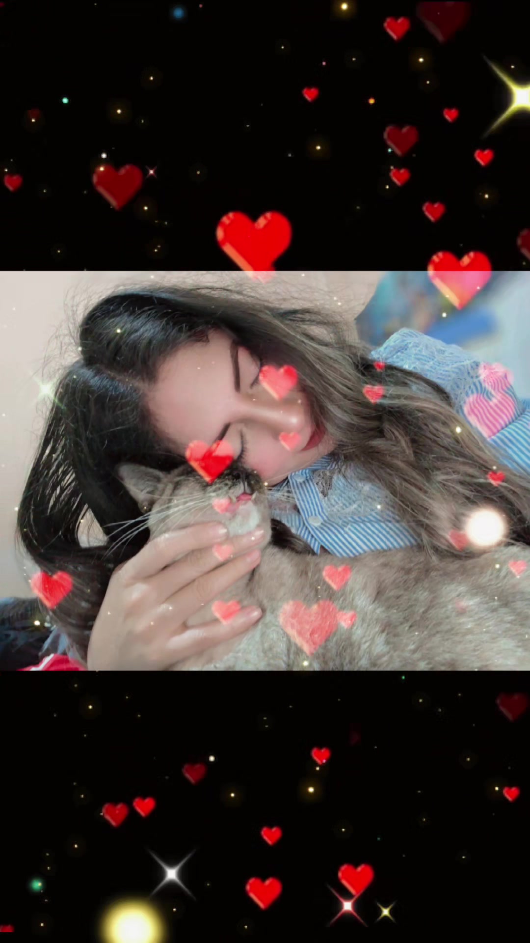 @gatita 😻