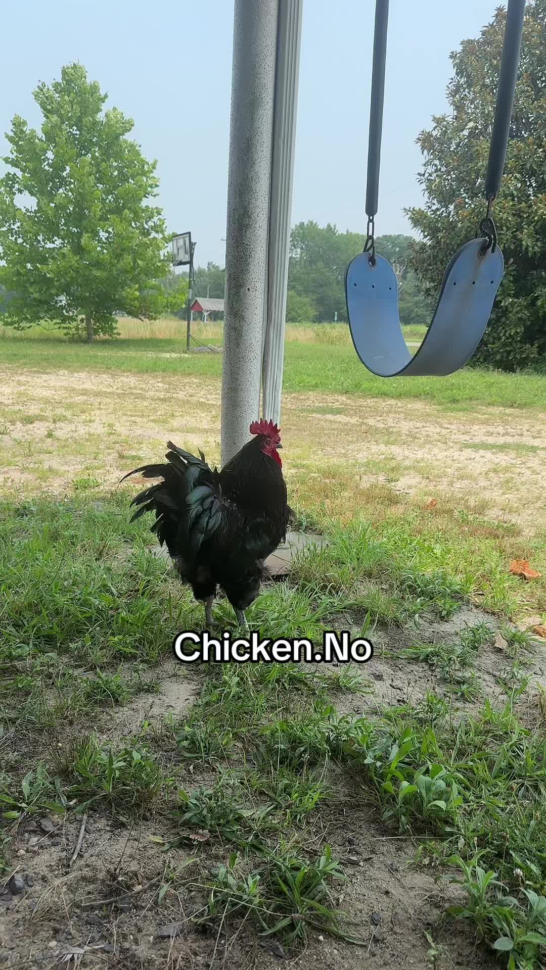 @No