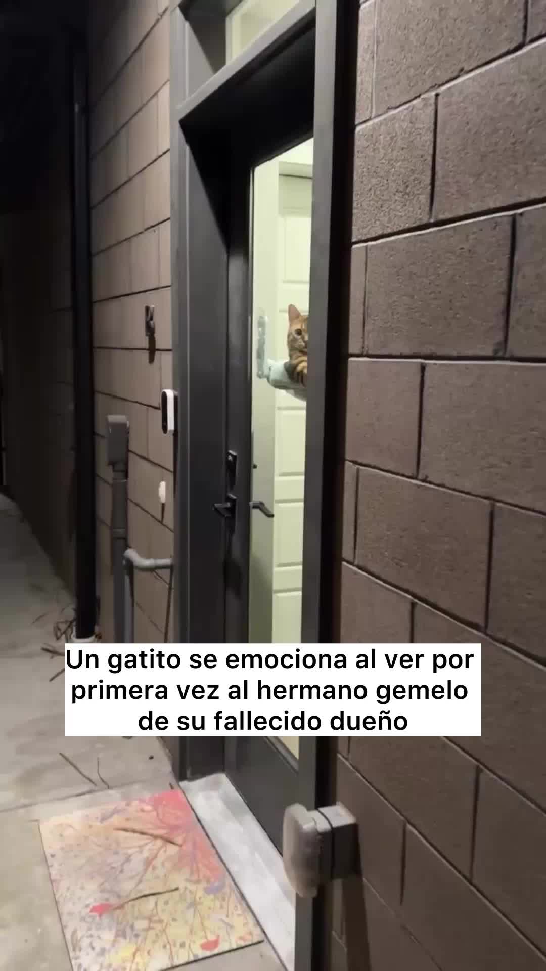 @Ceciarmy