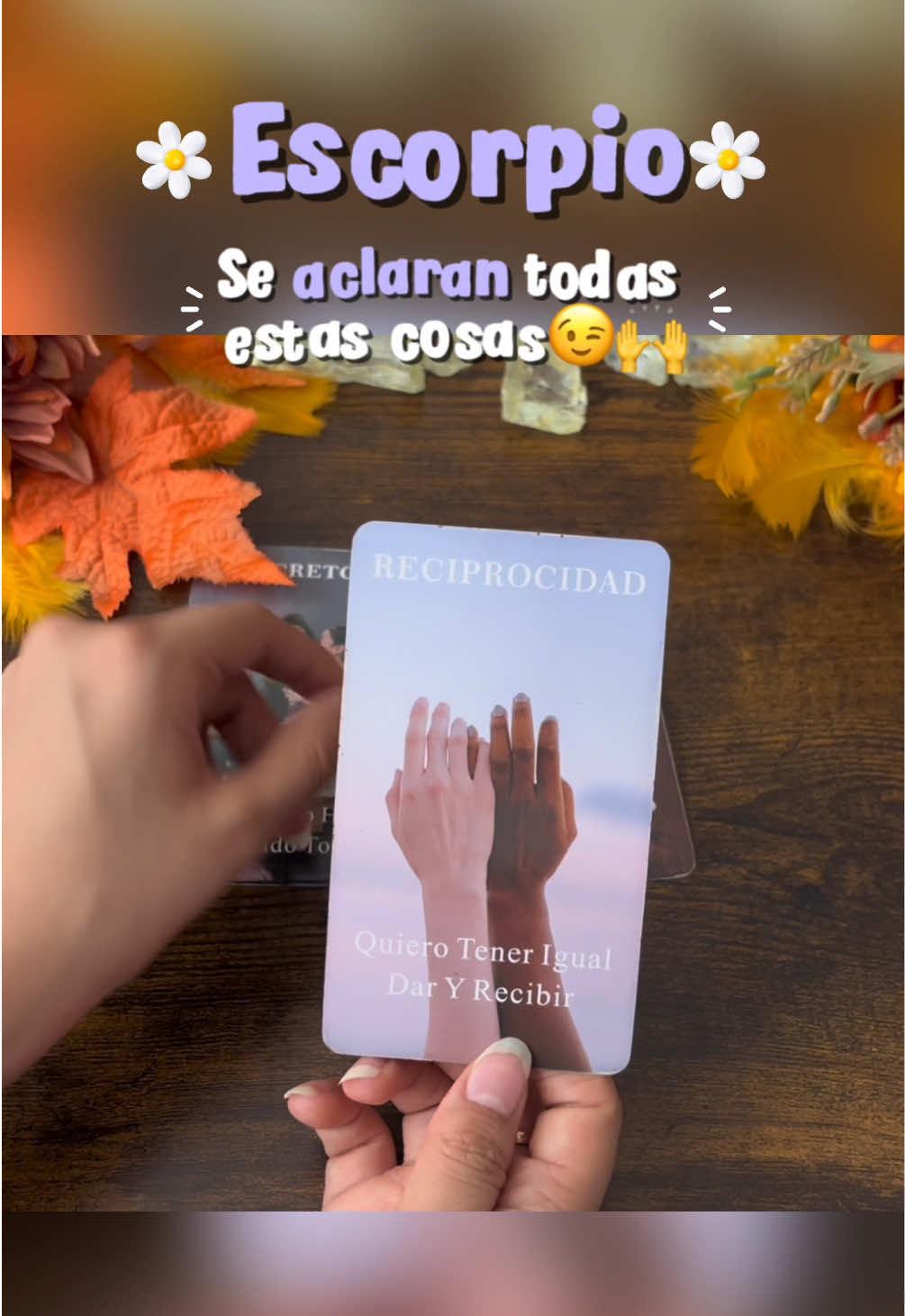@Andy Sun Tarot ☀️