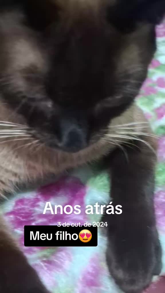 @lua