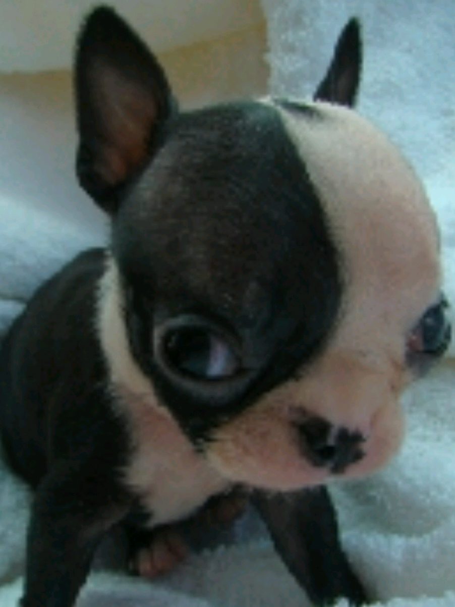 @I'ML0SER