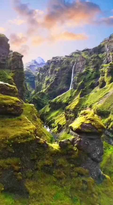 @Lionghoaho