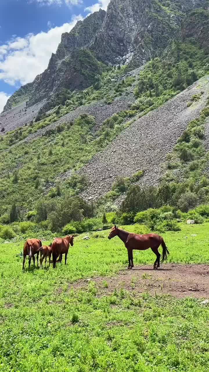 @Kirinkate🇦🇿