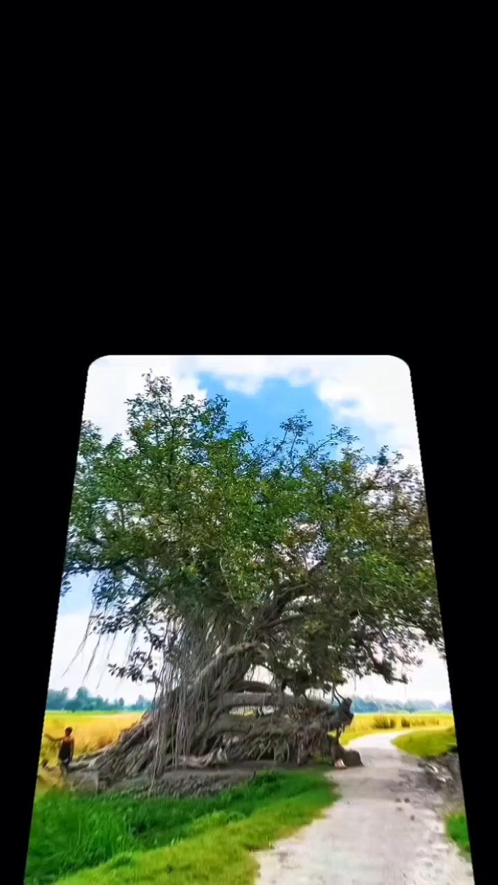 @ᎷᏋᏂᏖᏗᏰ ᏦᏂᏗᏁ