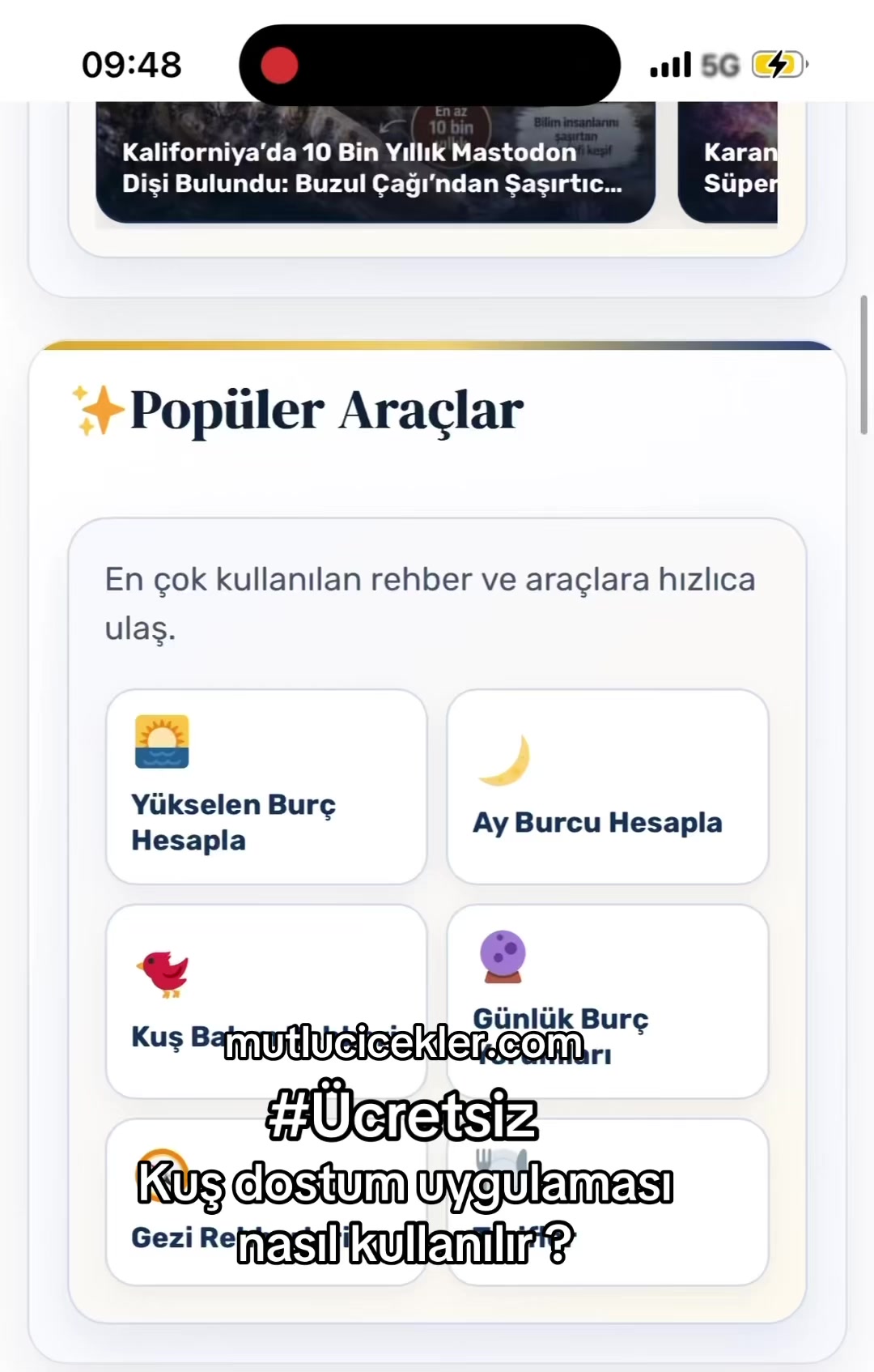 @Mutlucicekler.com