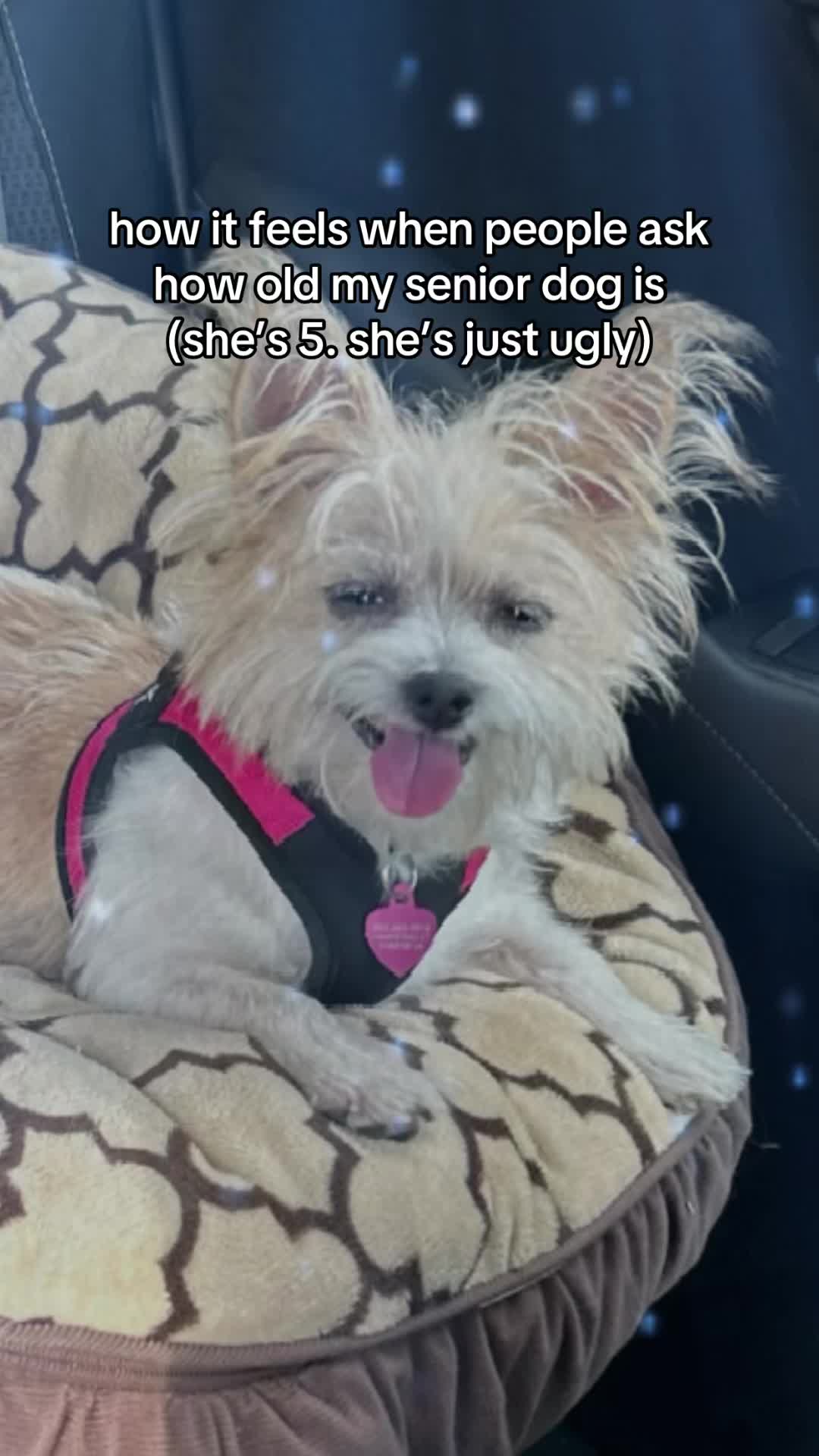 @zo