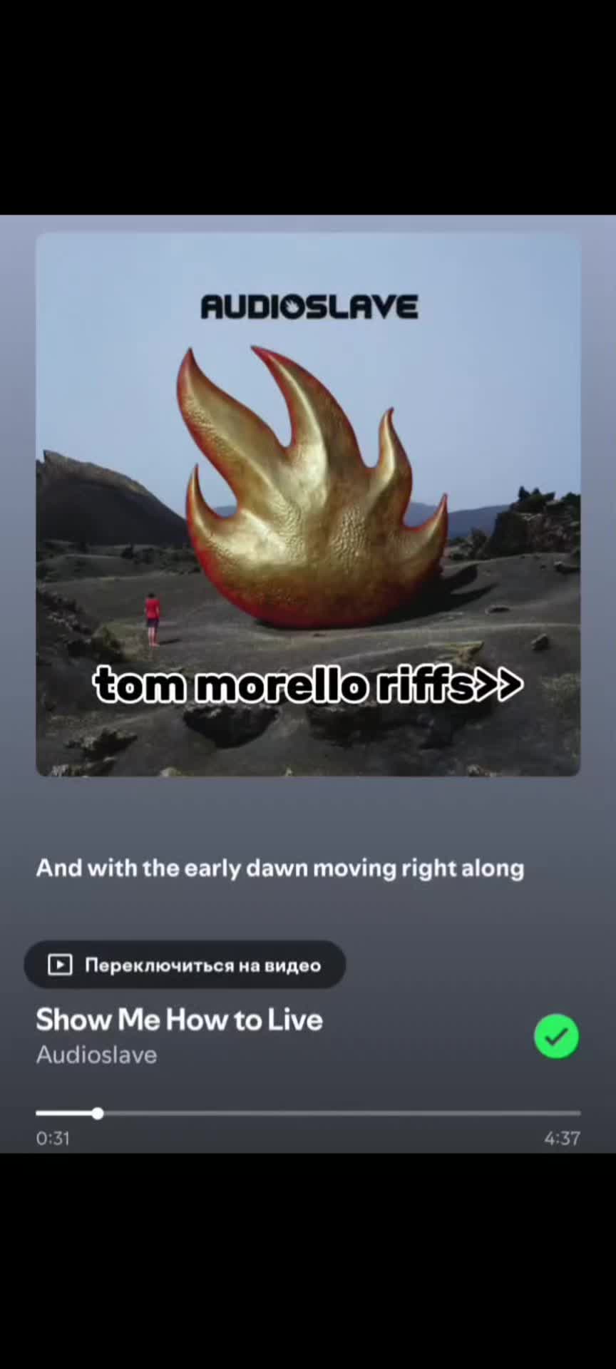 @𝓋𝒾ℯ𝓌𝒾𝓃'