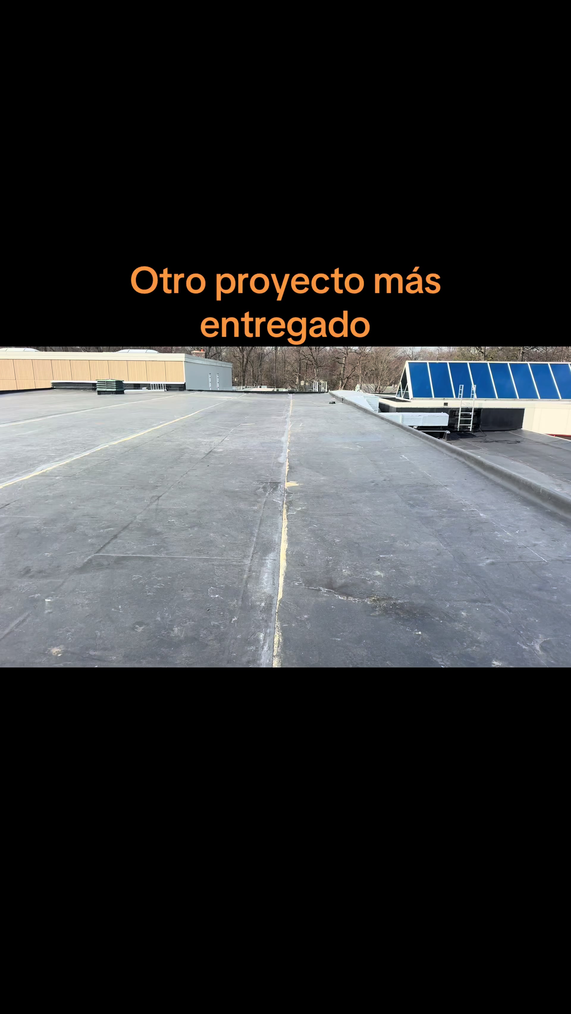 @heber roofer