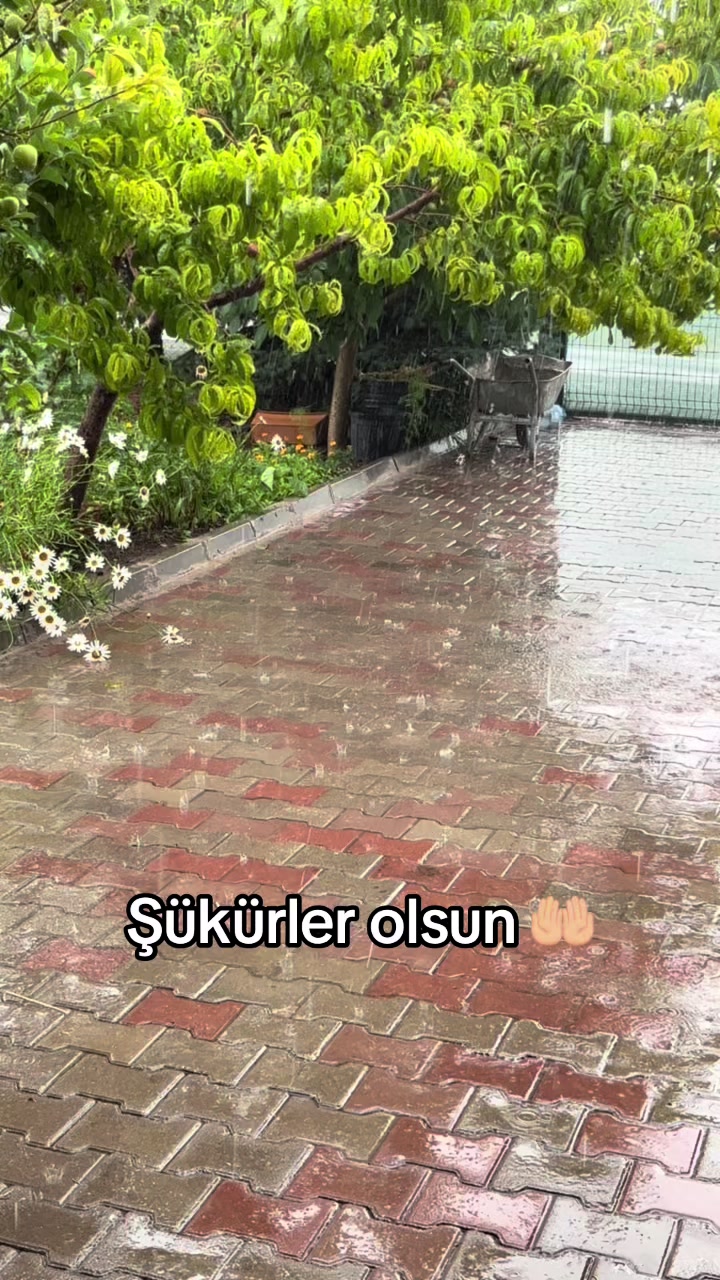 @🦋♾️ Zeyzey Zeynep 06 71 ♾️🦋