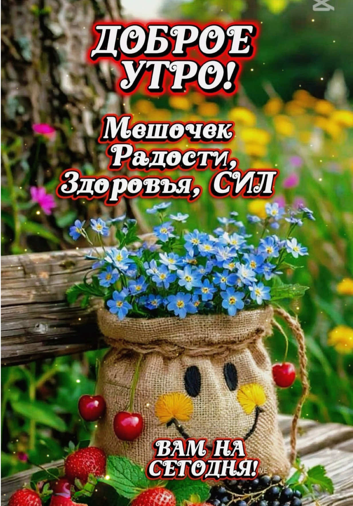 @111chao777