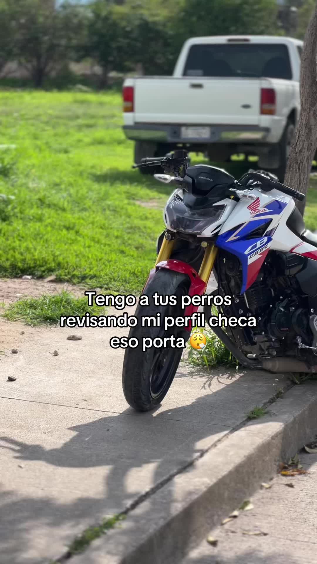 @𝐌𝐀𝐍𝐔𝐄𝐋