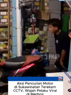 @Paltv-Memang Punyo Kito