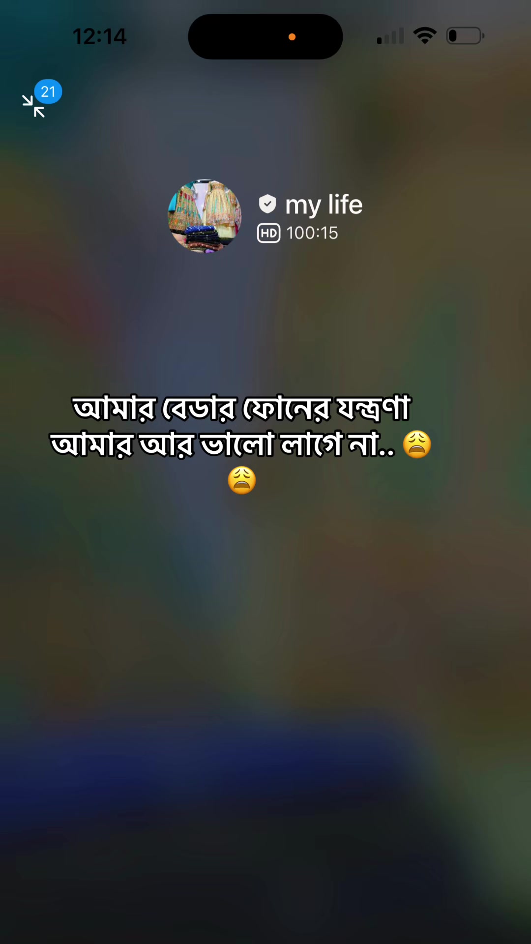 @জোসনা রাতের জোনাকী