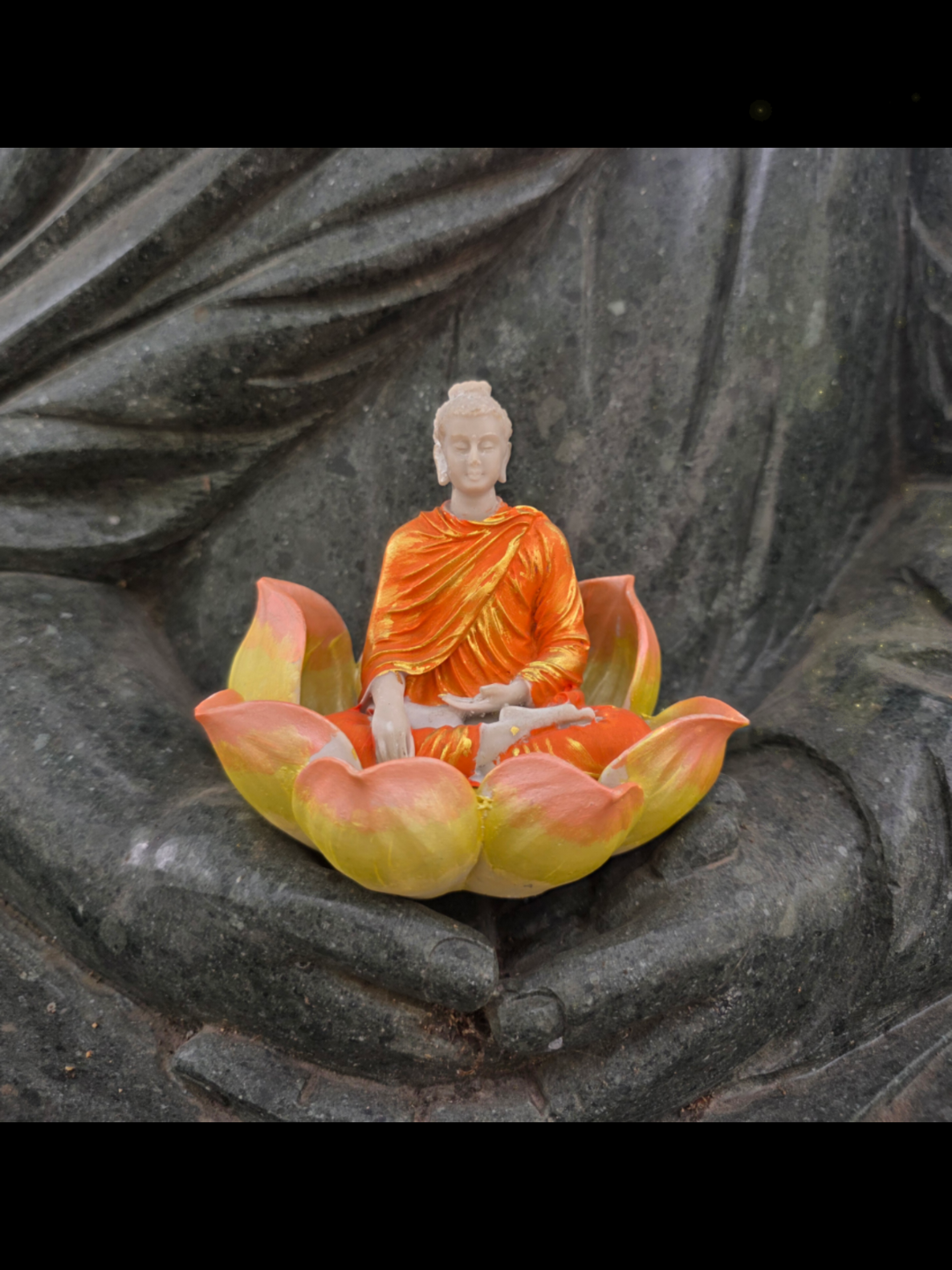 @TK Bảo &Acirc;n