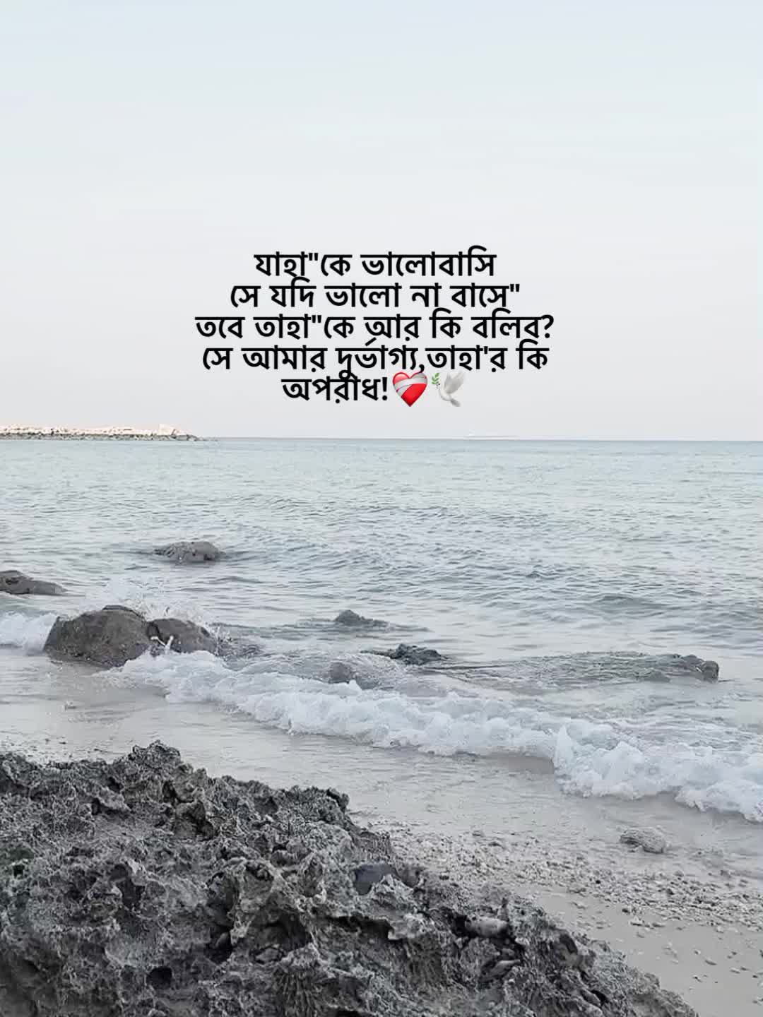 @đŗđđēđēđˇđž đąđ¸đģđ°đđˇ;)đī¸