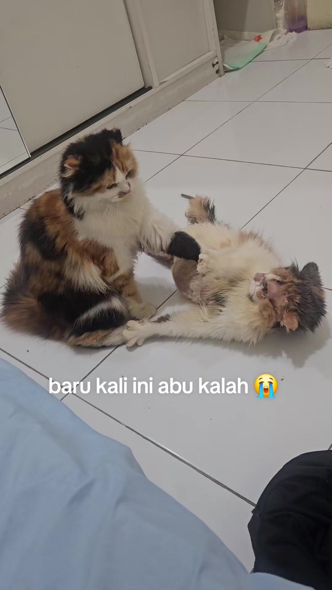 @kuro.bocil.gosong