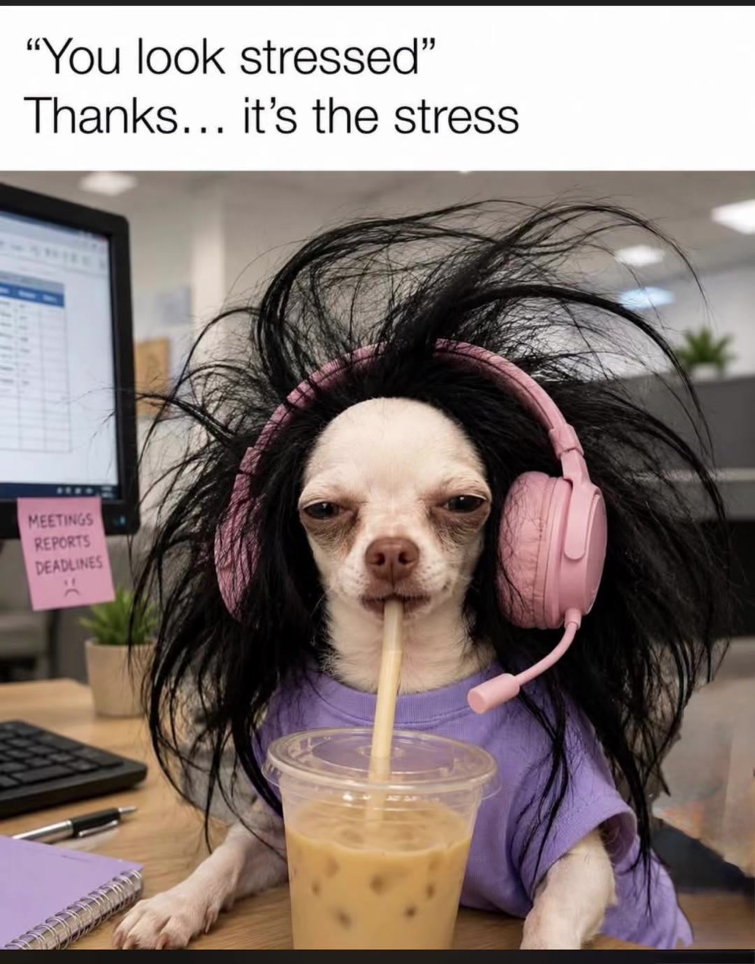 @Funny memes