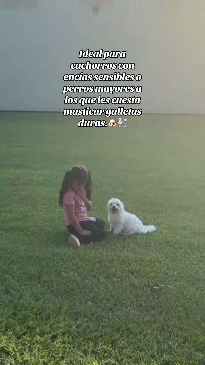 @🍓🛒lupitaalvarado832🛒🍓