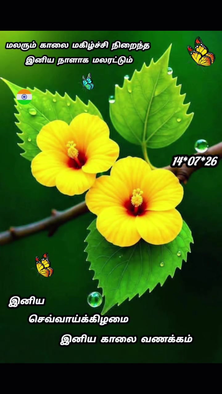 @Sai Meena
