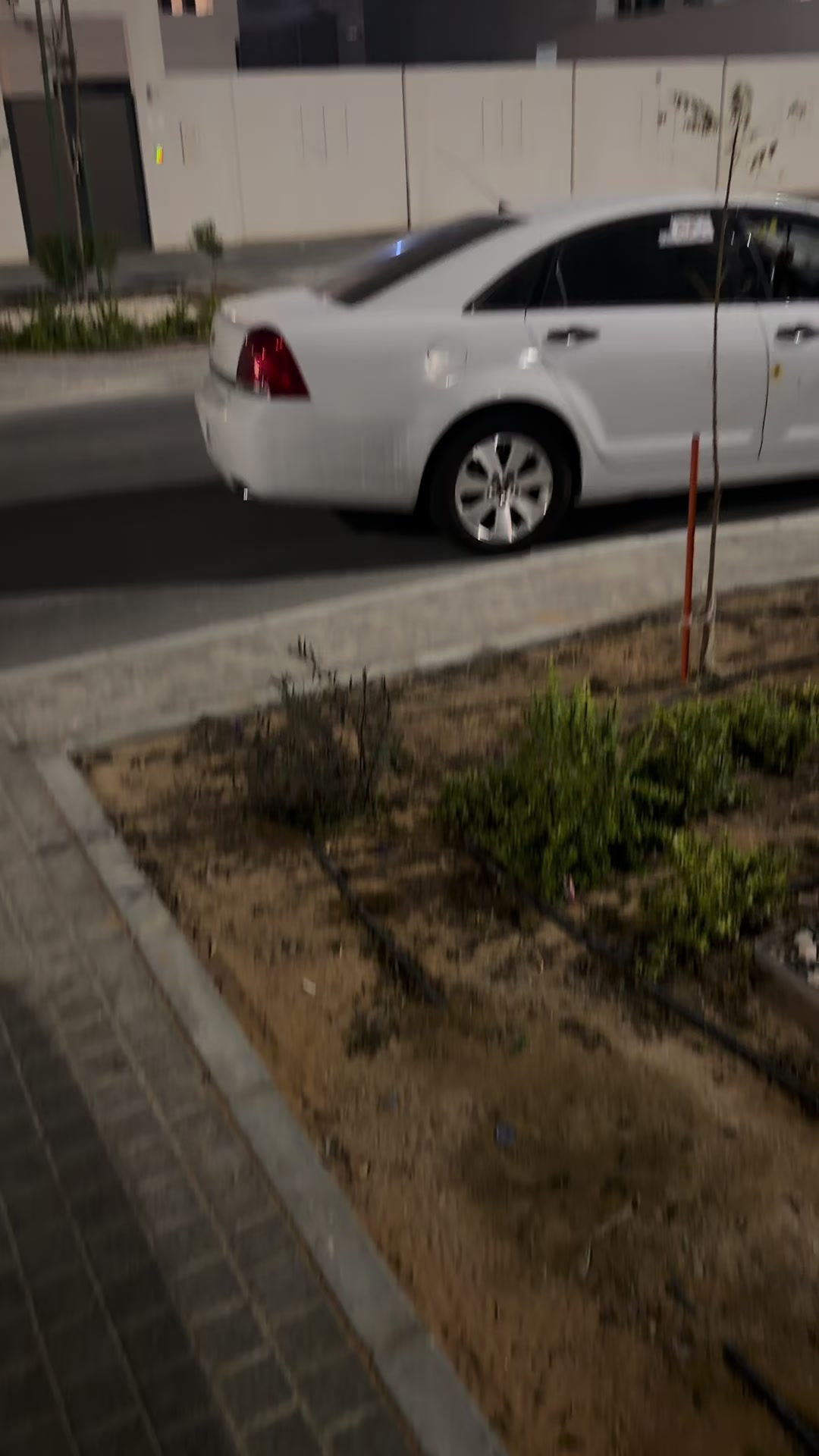 @الفـدرالي 🧣