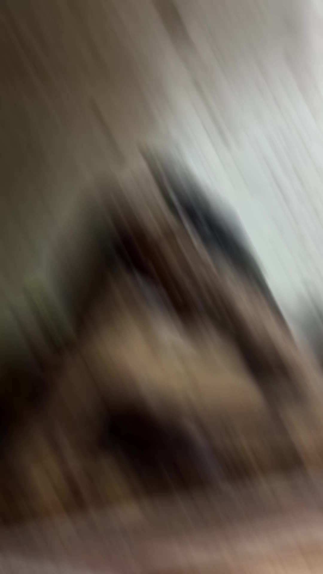 @pgv_arachnids