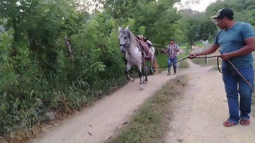 @vaquero 🤠 Lopez
