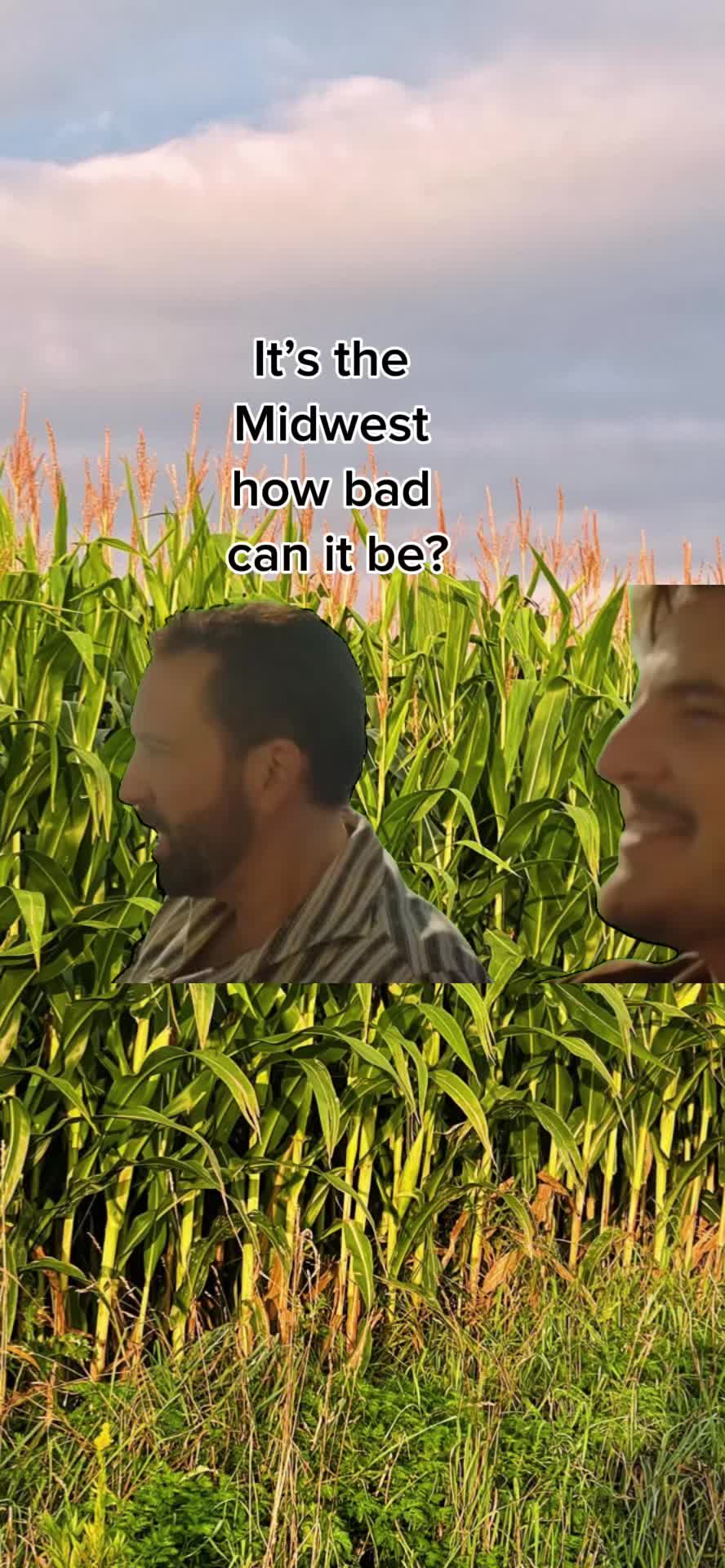 @Matt