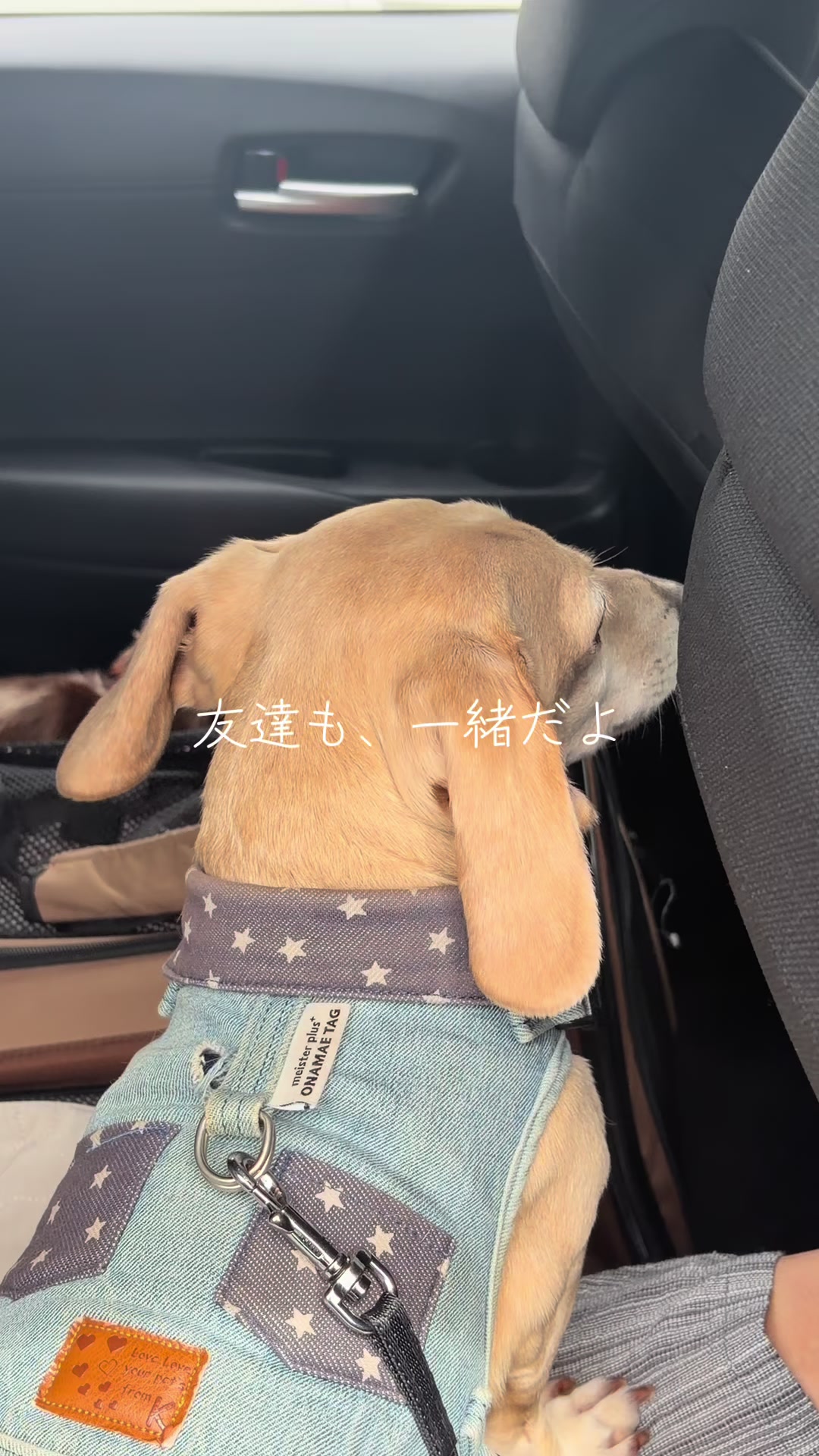 @ケン
