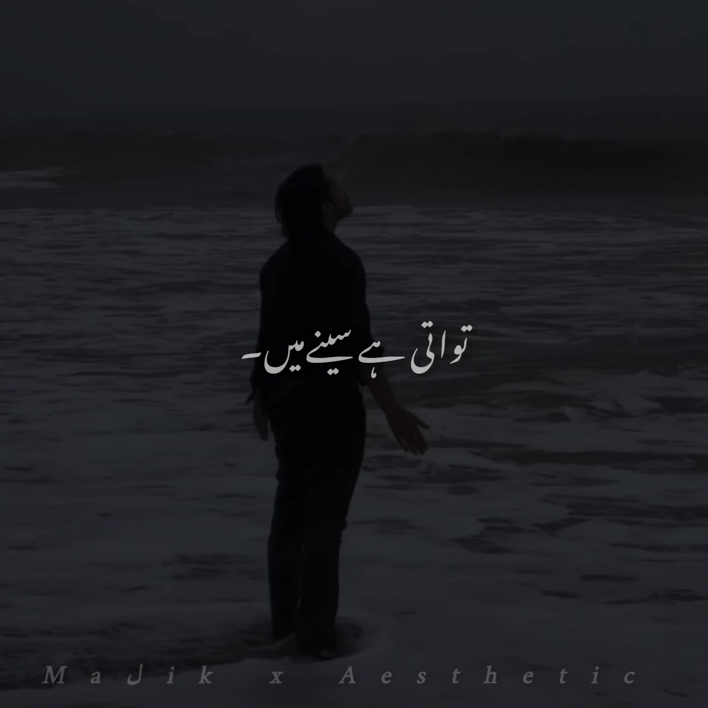 @𝑴𝑨𝑳𝑰𝑲 𝑨𝑬𝑺𝑻𝑰𝑿🎧